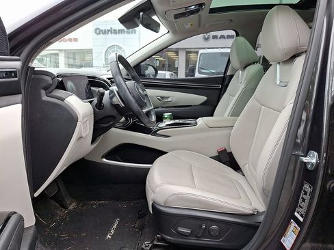 Used 2023 Hyundai Tucson Limited AWD/4WD image 11