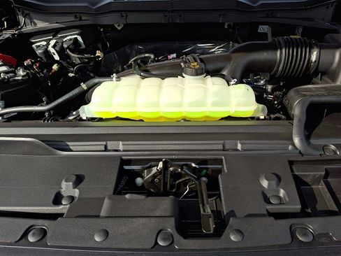 New 2025 Ford F150 STX w/ Equipment Group 200A image 19