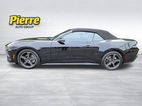 Used 2025 Ford Mustang Premium RWD image 15