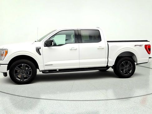 Used 2023 Ford F150 XLT w/ Equipment Group 302A High AWD/4WD image 8