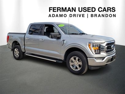 Used 2023 Ford F150 XLT w/ Equipment Group 302A High