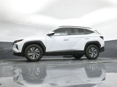 Used 2024 Hyundai Tucson Blue AWD/4WD image 41