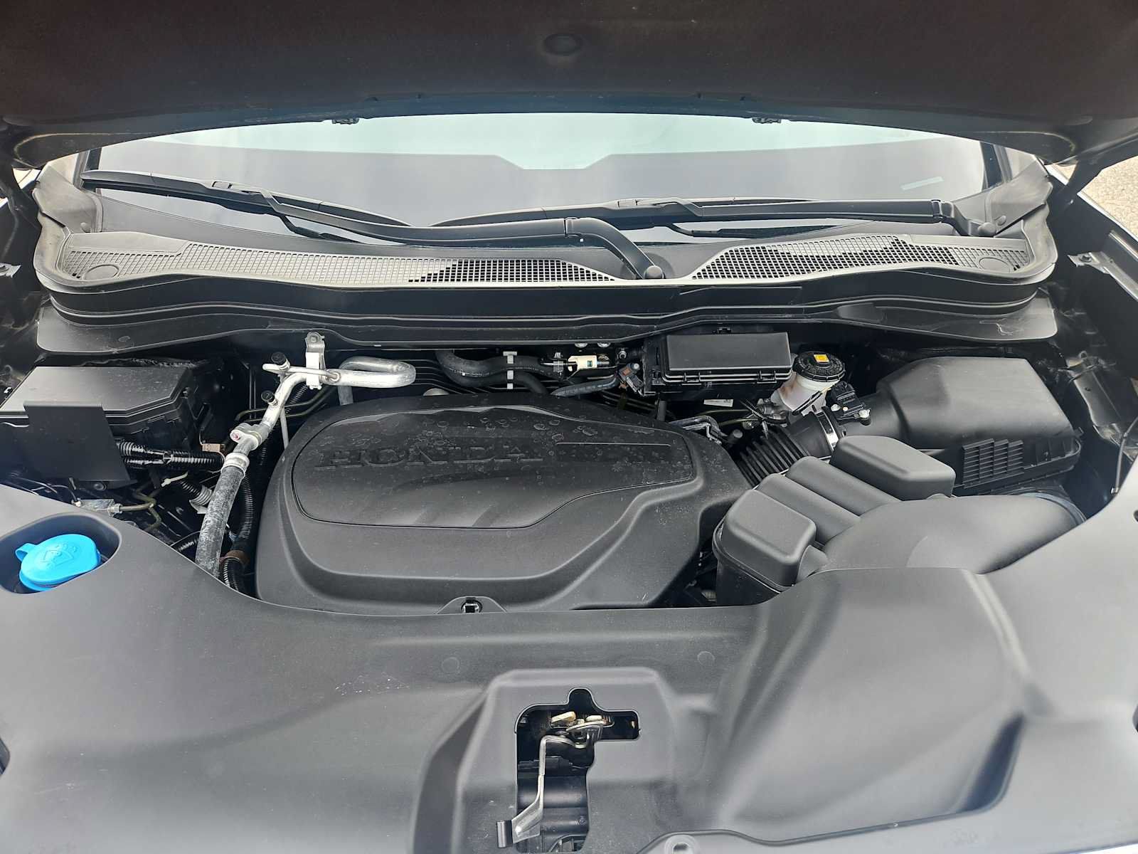 Certified 2024 Honda Ridgeline RTL image 18