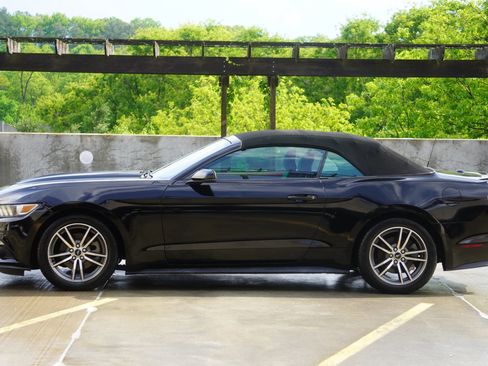 Used 2015 Ford Mustang Premium RWD image 10