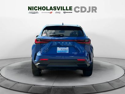 Used 2025 Lexus NX 350 AWD w/ Cold Area Package