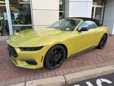 New 2025 Ford Mustang Convertible w/ Mustang Nite Pony Package image 3
