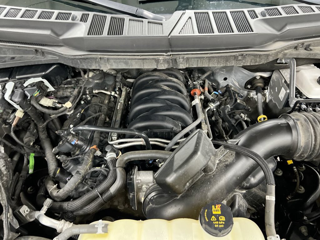 Used 2025 Ford F150 XLT w/ Equipment Group 301A Standard AWD/4WD image 24