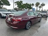Used 2017 Honda Accord EX-L image 3