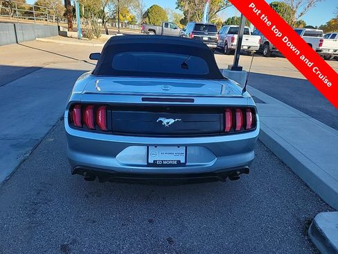 Used 2021 Ford Mustang Premium image 6