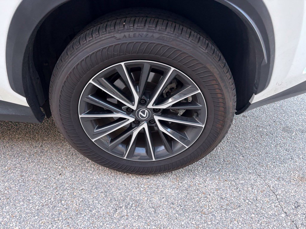 Certified 2024 Lexus NX 250 FWD w/ Cold Area Package image 11