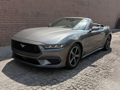 Used 2024 Ford Mustang Premium
