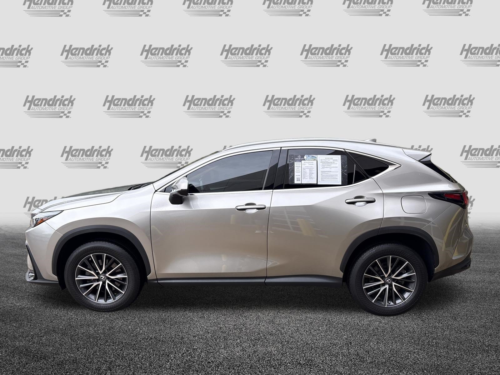 Used 2023 Lexus NX 350 AWD image 7
