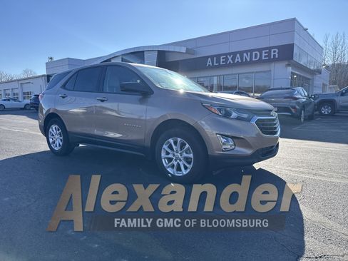 Used 2019 Chevrolet Equinox LS w/ LS Convenience Package image 1