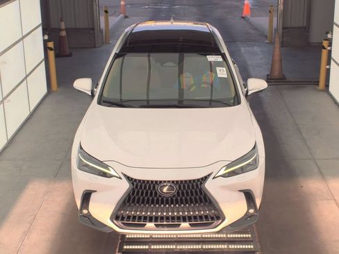 Used 2025 Lexus NX 350h AWD w/ Rear Seat Package image 6