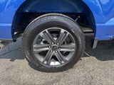 Used 2023 Ford F150 XLT w/ Equipment Group 302A High image 6