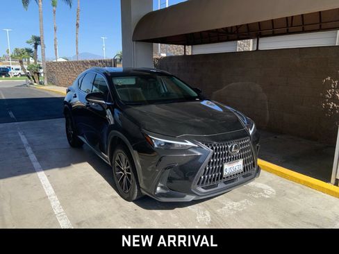Used 2024 Lexus NX 250 AWD w/ Cold Area Package image 3