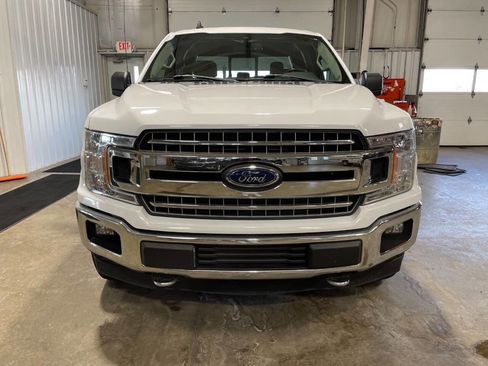 Used 2019 Ford F150 XLT w/ Equipment Group 302A Luxury image 3