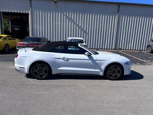 Certified 2023 Ford Mustang Premium image 4