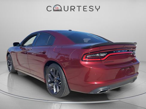 Used 2019 Dodge Charger SXT w/ Blacktop Package image 2
