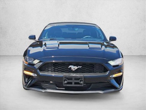 Used 2019 Ford Mustang Premium w/ Ecoboost Performance Package RWD image 3