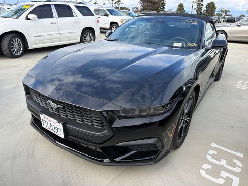 Used 2025 Ford Mustang Convertible RWD image 2