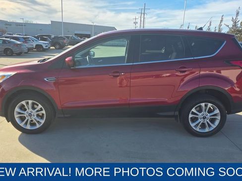 Used 2019 Ford Escape SE image 2