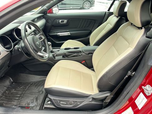 Used 2019 Ford Mustang GT Premium image 9