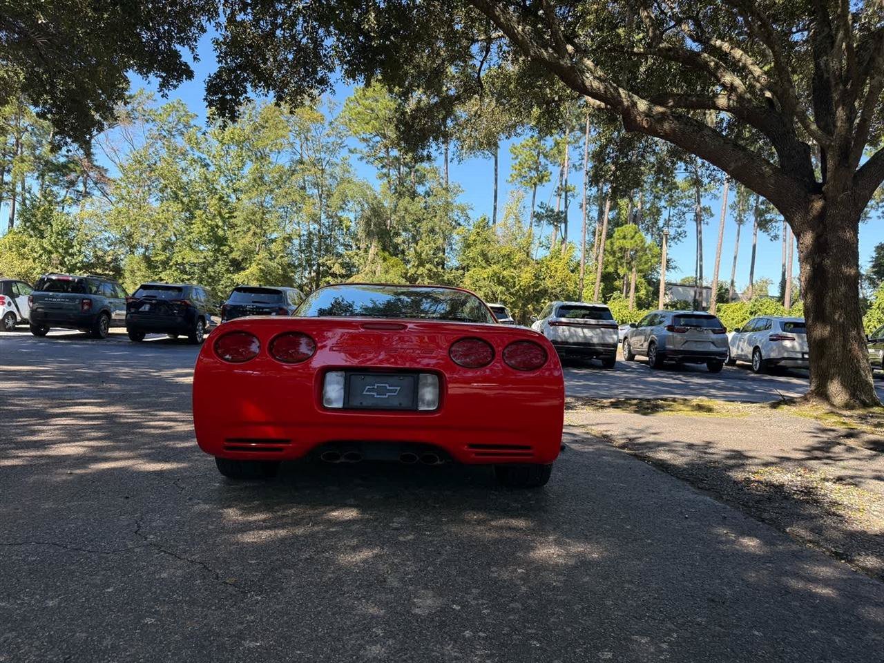 Used 1998 Chevrolet Corvette Coupe RWD image 6