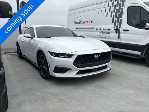 Used 2024 Ford Mustang Premium RWD image 1