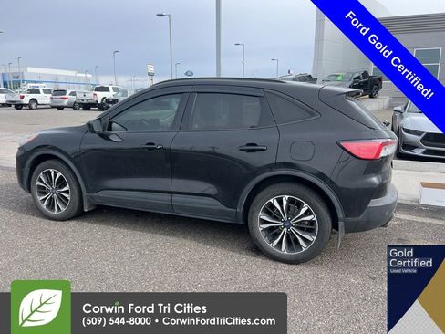 Used 2022 Ford Escape SEL w/ SEL Stealth AWD Package image 4