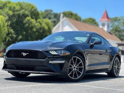 Used 2019 Ford Mustang Coupe w/ Equipment Group 101A