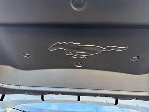 New 2025 Ford Mustang Mach-E Premium w/ Interior Protection Package AWD/4WD image 16