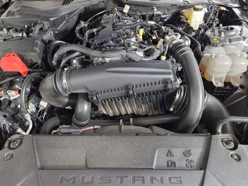Used 2024 Ford Mustang Premium w/ Mustang Nite Pony Package RWD image 21