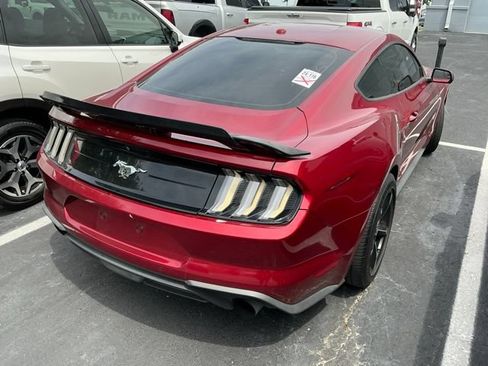 Used 2019 Ford Mustang Coupe w/ Equipment Group 101A RWD image 4