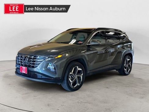 Used 2024 Hyundai Tucson Limited AWD/4WD image 1