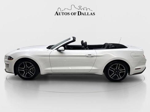 Used 2023 Ford Mustang Premium RWD image 5