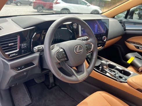 Used 2025 Lexus NX 250 FWD w/ Cold Area Package image 12