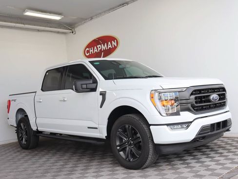 Used 2023 Ford F150 XLT w/ Equipment Group 302A High AWD/4WD image 1