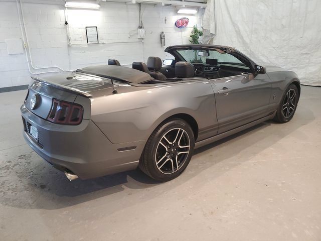 Used 2014 Ford Mustang Premium w/ Equipment Group 201A RWD image 8