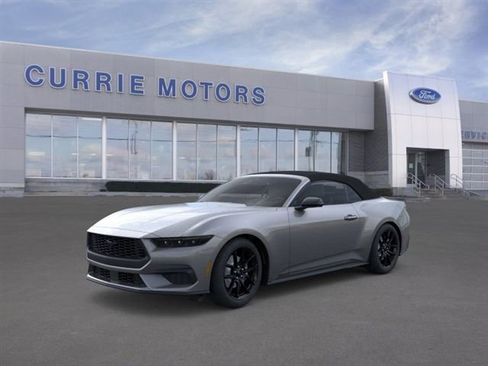 New 2026 Ford Mustang Convertible w/ Mustang Nite Pony Package RWD image 1
