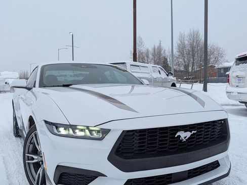 Used 2024 Ford Mustang Coupe image 1