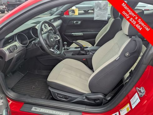 Used 2023 Ford Mustang GT w/ Equipment Group 301A RWD image 10