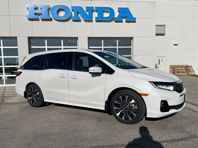 New 2026 Honda Odyssey Elite