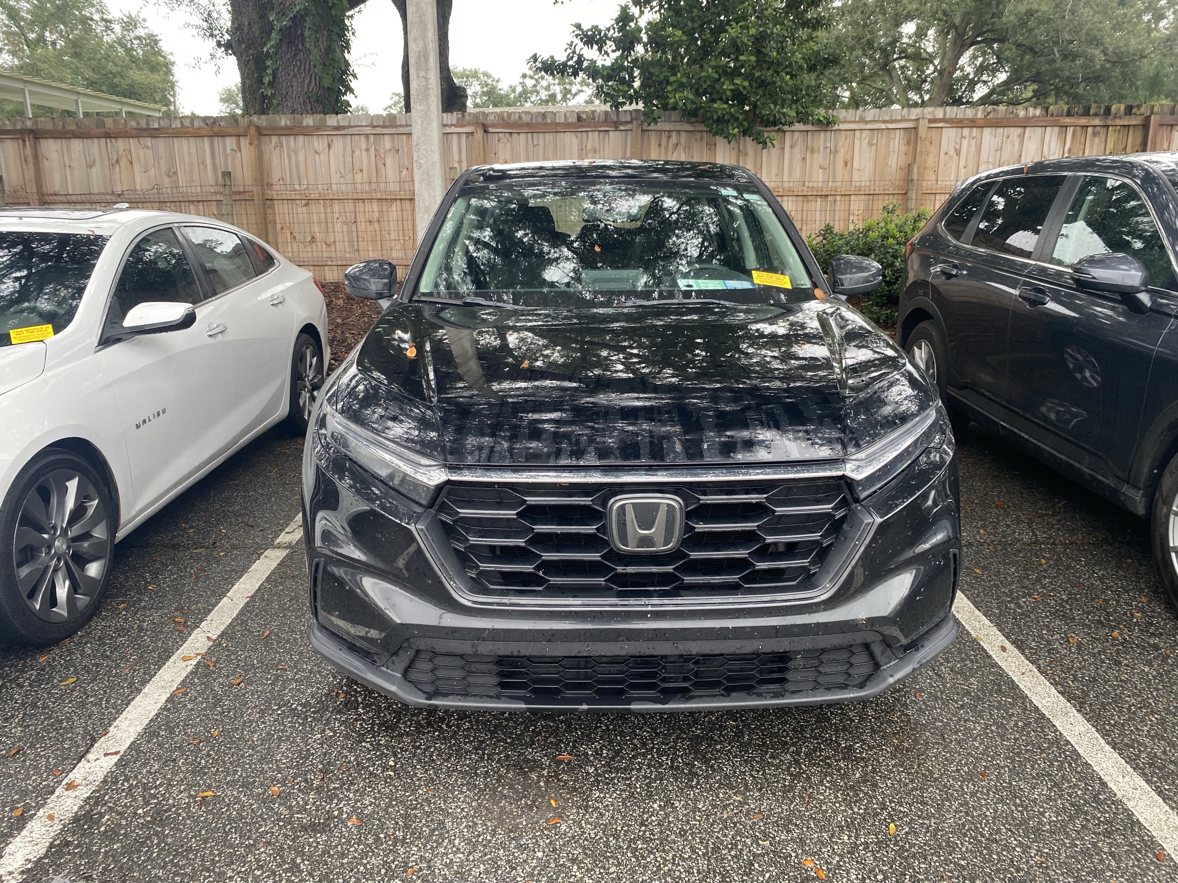 Used 2024 Honda CR-V LX image 14