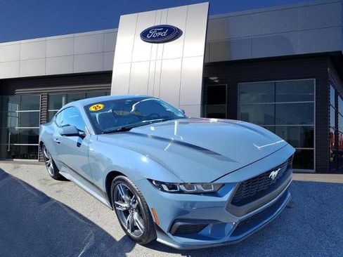 Certified 2025 Ford Mustang EcoBoost image 1