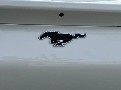 New 2026 Ford Mustang Mach-E Premium RWD image 26