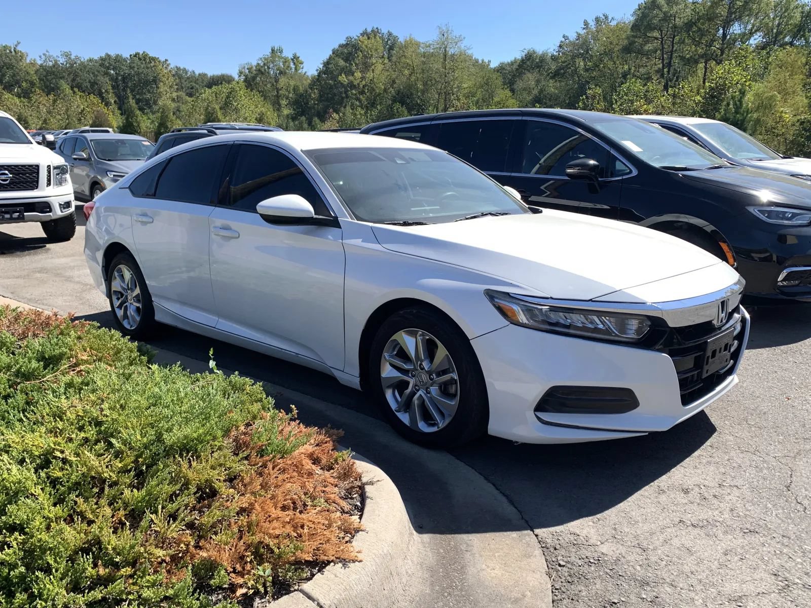 Used 2020 Honda Accord LX image 1