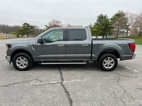 Used 2025 Ford F150 XLT w/ Equipment Group 301A Standard AWD/4WD image 6