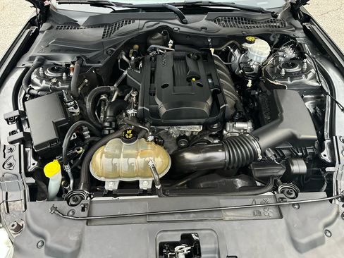 Used 2019 Ford Mustang Coupe image 22