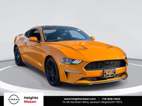 Used 2019 Ford Mustang Coupe w/ Black Accent Package image 1